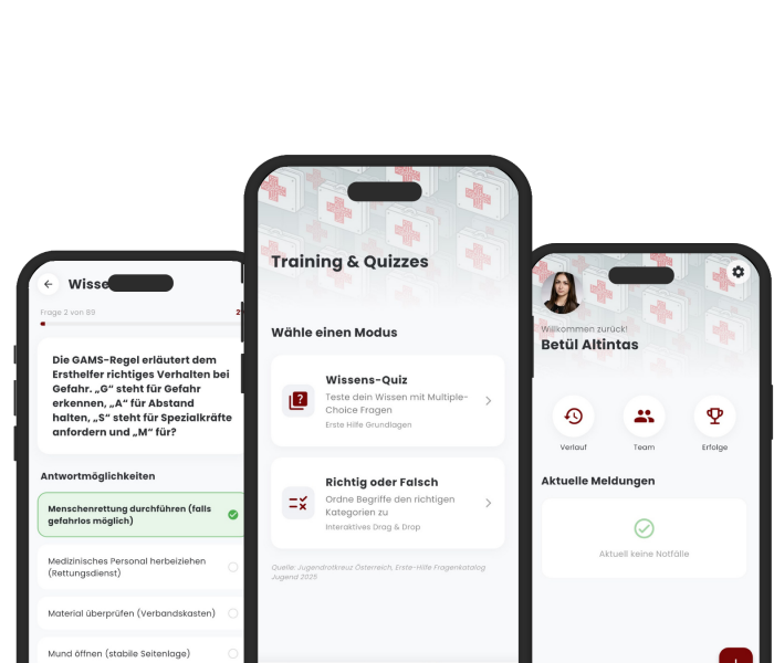 Clean and Modern App Portfolio Mockup Presentation